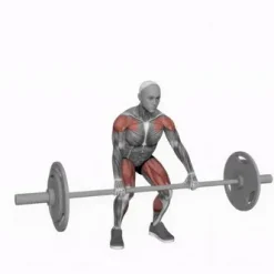 انیمیشن تناسب اندام،تمرین با هالتر