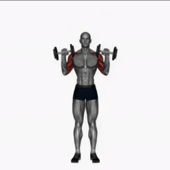 انیمیشن تناسب اندام،دمبل زدن در حالت ایستاده