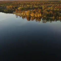 دریاچه آرام کنار جنگل