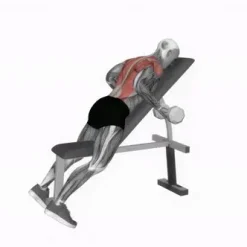 فوتیج انیمیشن دمبل زدن 3