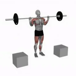 انیمیشن تناسب اندام،هالتر پاورلیفتینگ