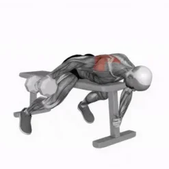 انیمیشن تناسب اندام،دمبل زدن با یک دست در حالت خوابیده روی میز