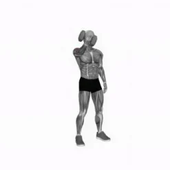 انیمیشن تناسب اندام،دمبل زدن در حالت ایستاده 5