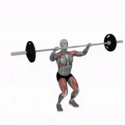 انیمیشن تناسب اندام،هالتر پاورلیفتینگ اسنچ