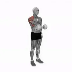 دمبل زدن در حالت ایستاده