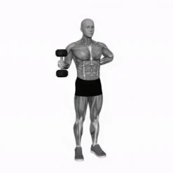 انیمیشن تناسب اندام،دمبل زدن در حالت ایستاده 1