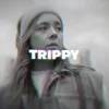 پروژه آماده پریمیر Trippy Looks