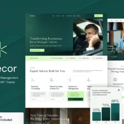 قالب وردپرس حسابداری و مدیریت Execor